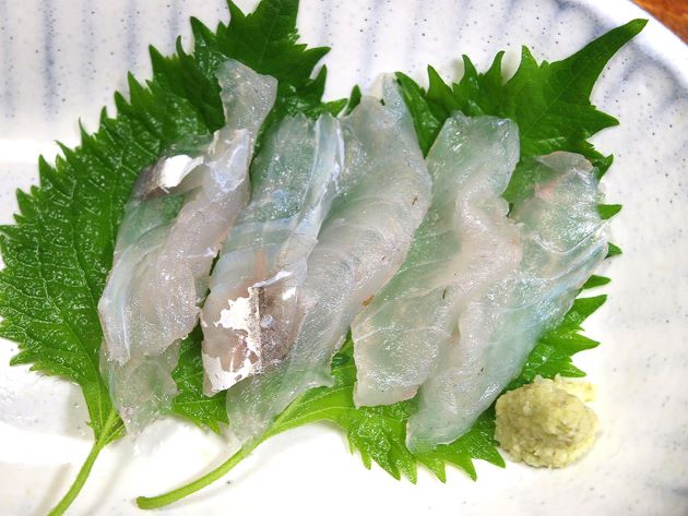 マゴチの刺身