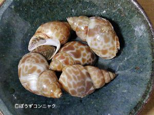 クリックで拡大表示