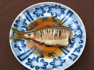 コノシロ コハダ 市場魚貝類図鑑 コノシロ コハダ 市場魚貝類図鑑