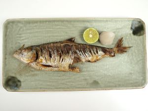 コノシロ コハダ 市場魚貝類図鑑 コノシロ コハダ 市場魚貝類図鑑