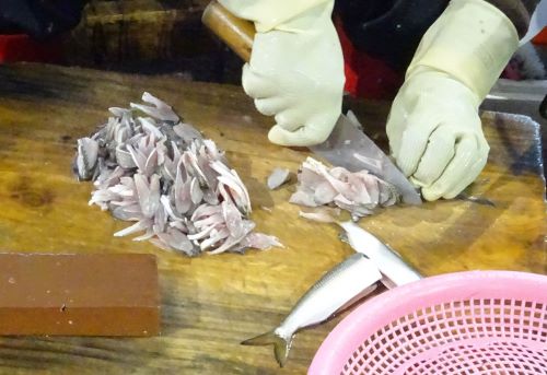 コノシロ コハダ 市場魚貝類図鑑