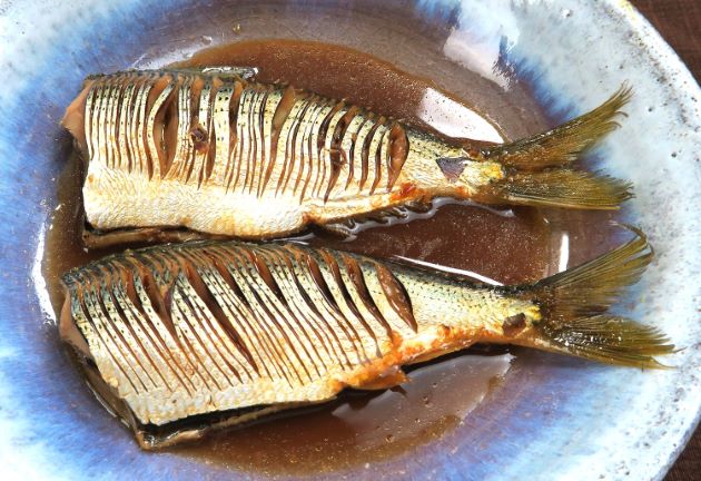 コノシロ コハダ 市場魚貝類図鑑