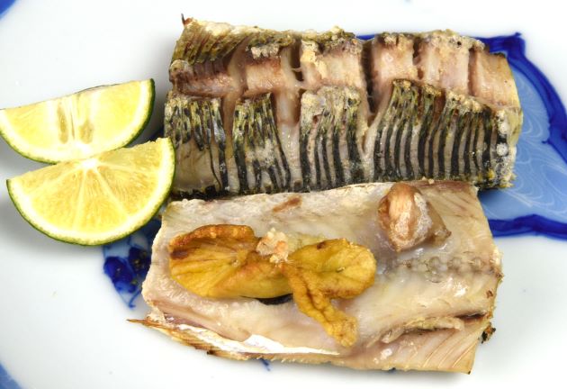 コノシロ コハダ 市場魚貝類図鑑 コノシロ コハダ 市場魚貝類図鑑