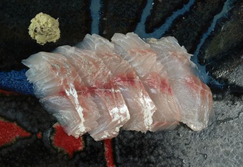 ツバメコノシロ アゴナシ 市場魚貝類図鑑