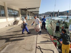 クリックで拡大表示 土佐の清水さば