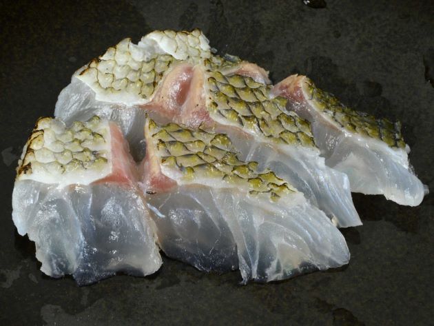 ヒラマジューマーの焼霜造り