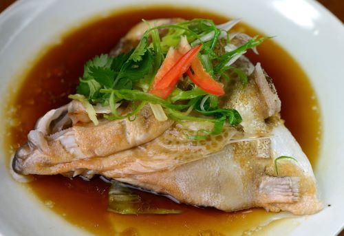 オオモンハタ 魚類 市場魚貝類図鑑