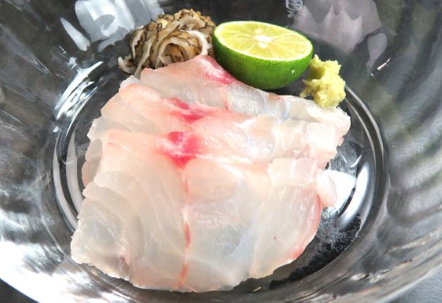 フエダイの若魚の刺身