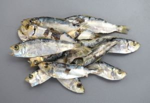 クリックで拡大表示