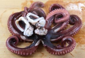 クリックで拡大表示