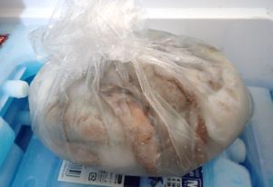 クリックで拡大表示