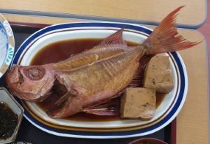 クリックで拡大表示