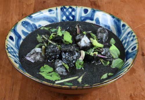 コブシメ 軟体 市場魚貝類図鑑