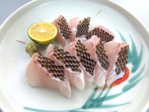 クリックで拡大表示 イソフエフキの皮霜造り