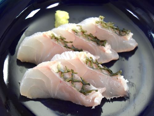 シロクラベラの皮霜造り