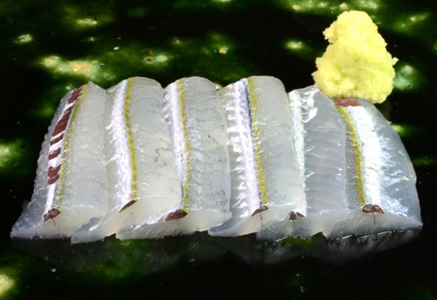 サヨリ | 魚類 | 市場魚貝類図鑑