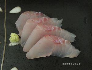 クリックで拡大表示 シマゾイの刺身