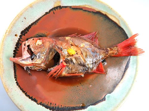 ハシキンメ 魚類 市場魚貝類図鑑