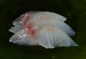 クリックで拡大表示