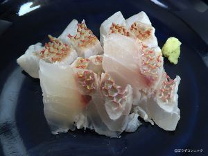 クリックで拡大表示 アカレンコの刺身