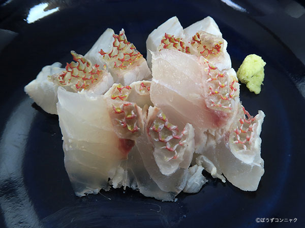 アカレンコの刺身