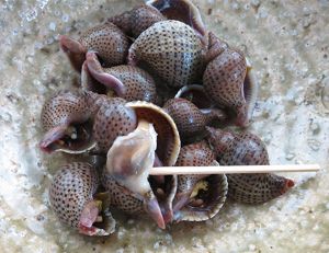 クリックで拡大表示 シマアラレミクリガイの煮つけ