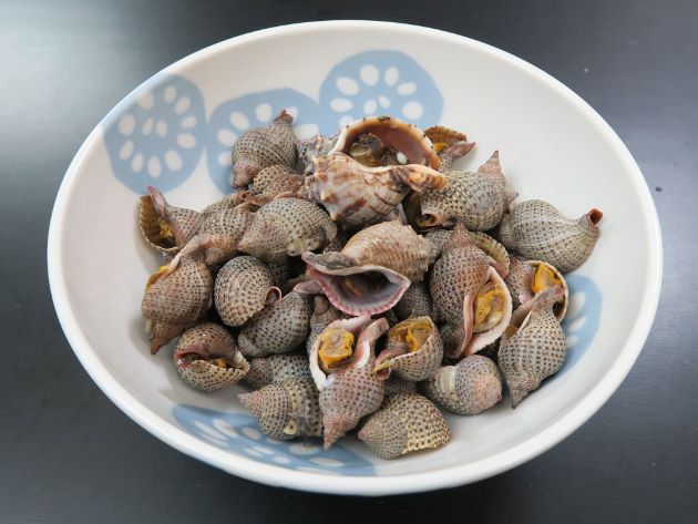シマアラレミクリの塩ゆで