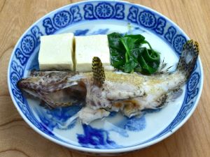 カンモンハタ 魚類 市場魚貝類図鑑 カンモンハタ 魚類 市場魚貝類図鑑