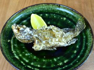 カンモンハタ 魚類 市場魚貝類図鑑 カンモンハタ 魚類 市場魚貝類図鑑