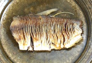 クリックで拡大表示