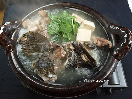 タマカイのちり鍋