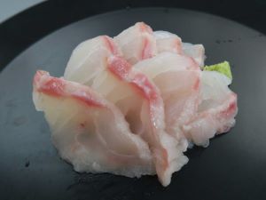 チャイロマルハタ 魚類 市場魚貝類図鑑