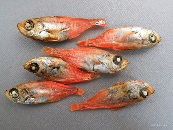 キンメモドキの煮干し