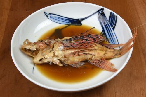ミノカサゴ ヤマノカミ 市場魚貝類図鑑