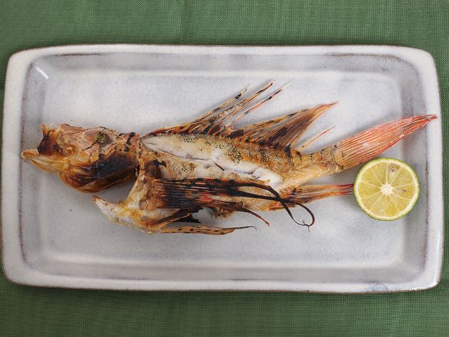 ミノカサゴの塩焼き