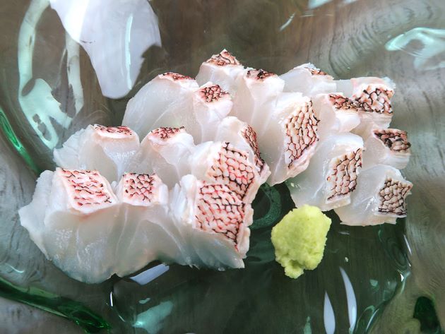 ハナミノカサゴの皮霜造り