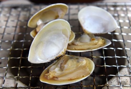 クリックで拡大表示