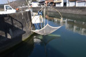 クリックで拡大表示 素魚漁