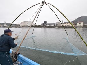 クリックで拡大表示 萩のシロウオ漁