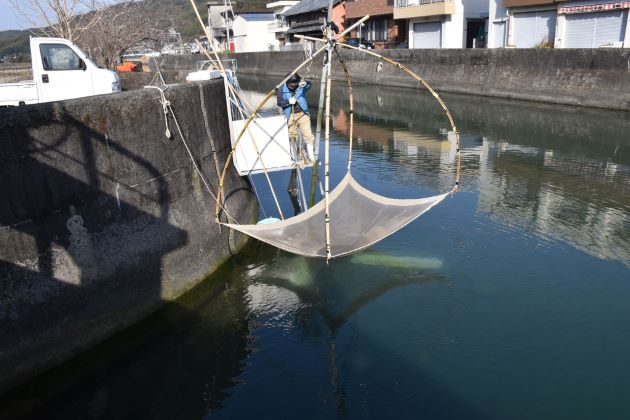 素魚漁