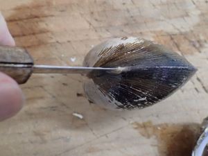 クリックで拡大表示