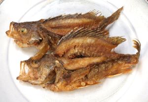 クリックで拡大表示