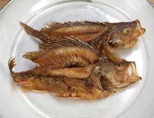 クリックで拡大表示 アカガヤの唐揚げ