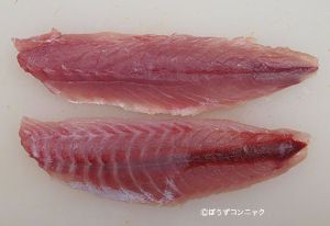 クリックで拡大表示 ロウソクチビキのフィレ