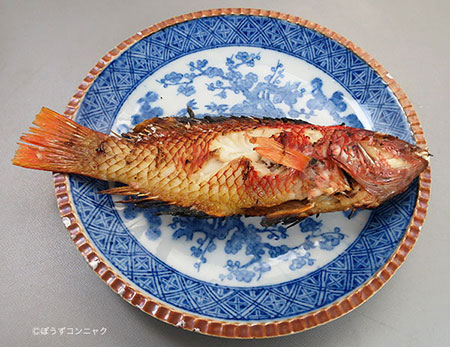 アカササノハベラの素焼き
