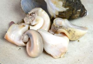 クリックで拡大表示