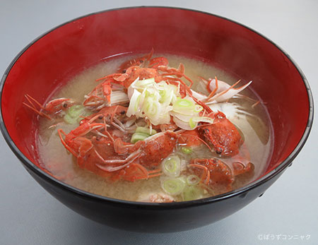 フタホシイシガニのみそ汁