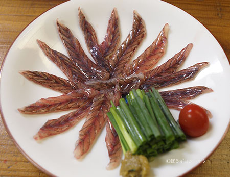 ワラスボの刺身