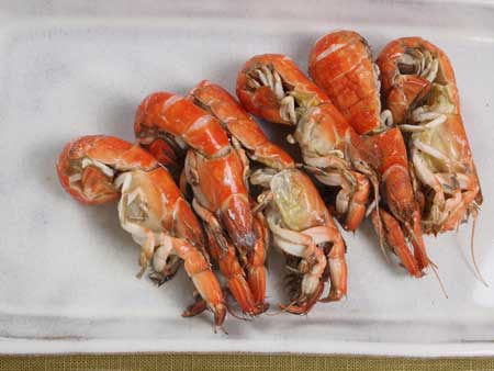 アナジャコ 甲殻 市場魚貝類図鑑 アナジャコ 甲殻 市場魚貝類図鑑