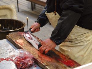 クリックで拡大表示 ウナギ割きの東西、中部、九州での違い